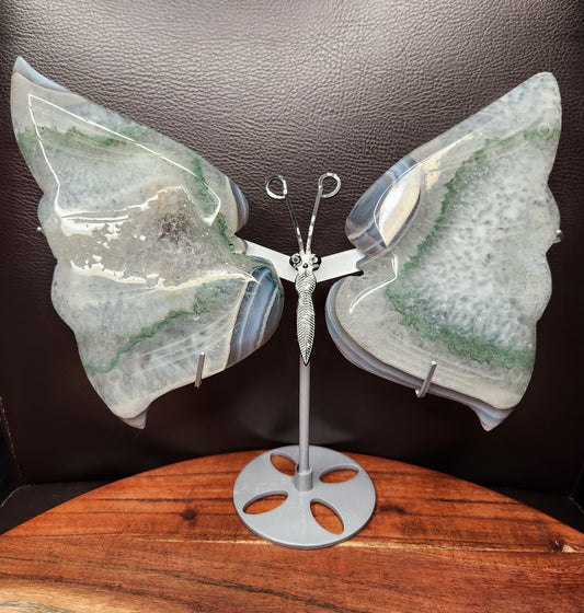 Druzy Banded Agate Wings on Stand