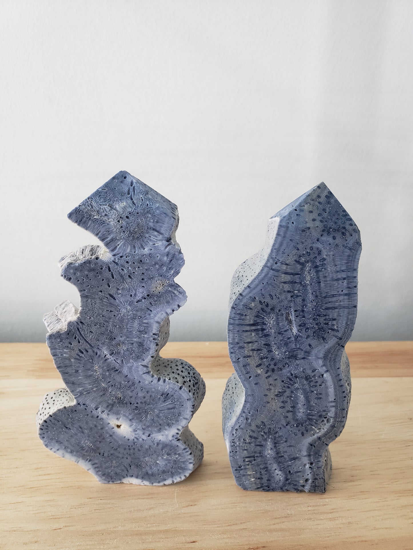 Blue Coral Tower S
