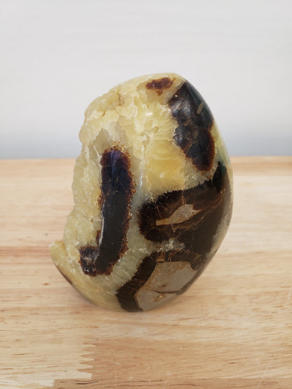 Septarium Egg Free-forms