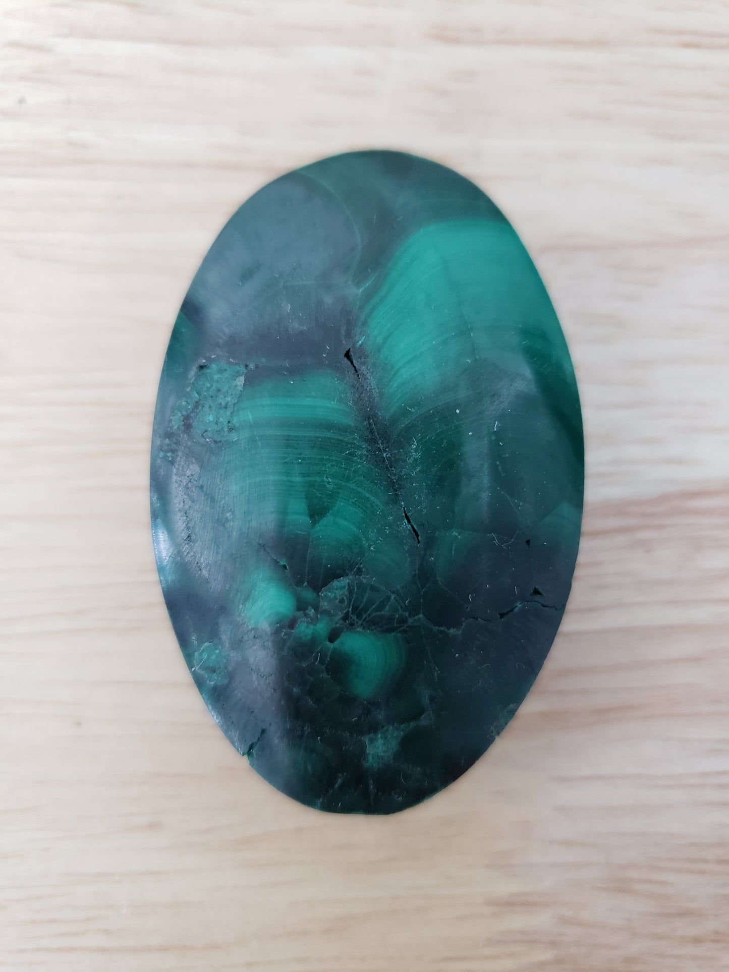 Malachite Palms