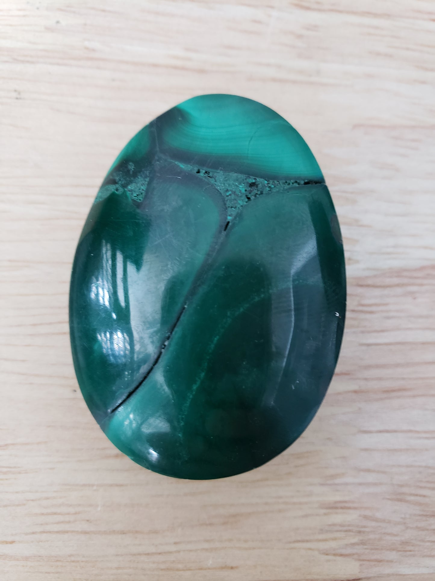Malachite Palms