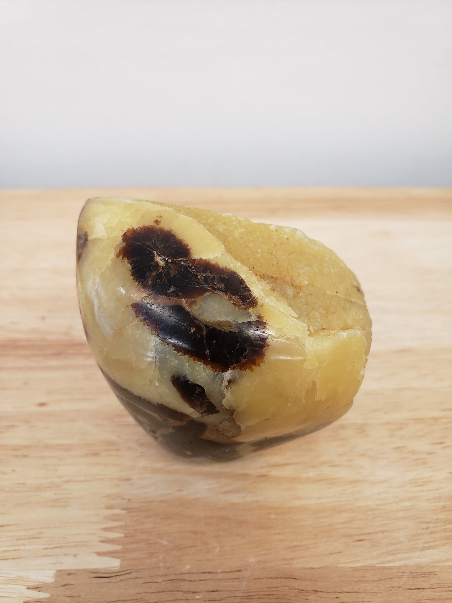 Septarium Egg Free-forms