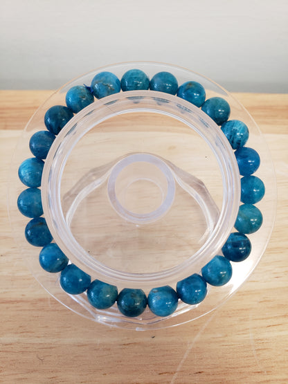 PREMIUM Bracelets Assorted