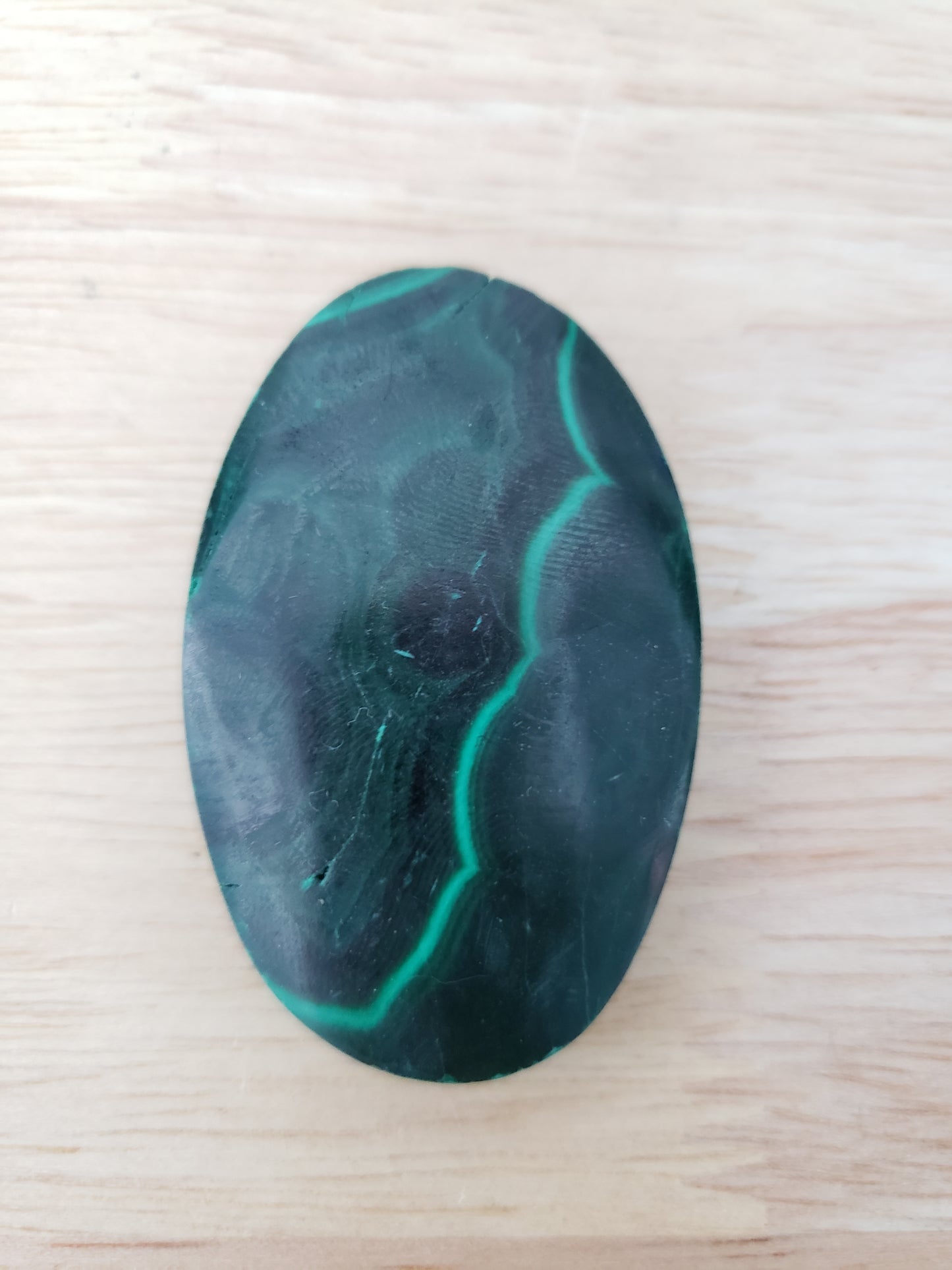 Malachite Palms