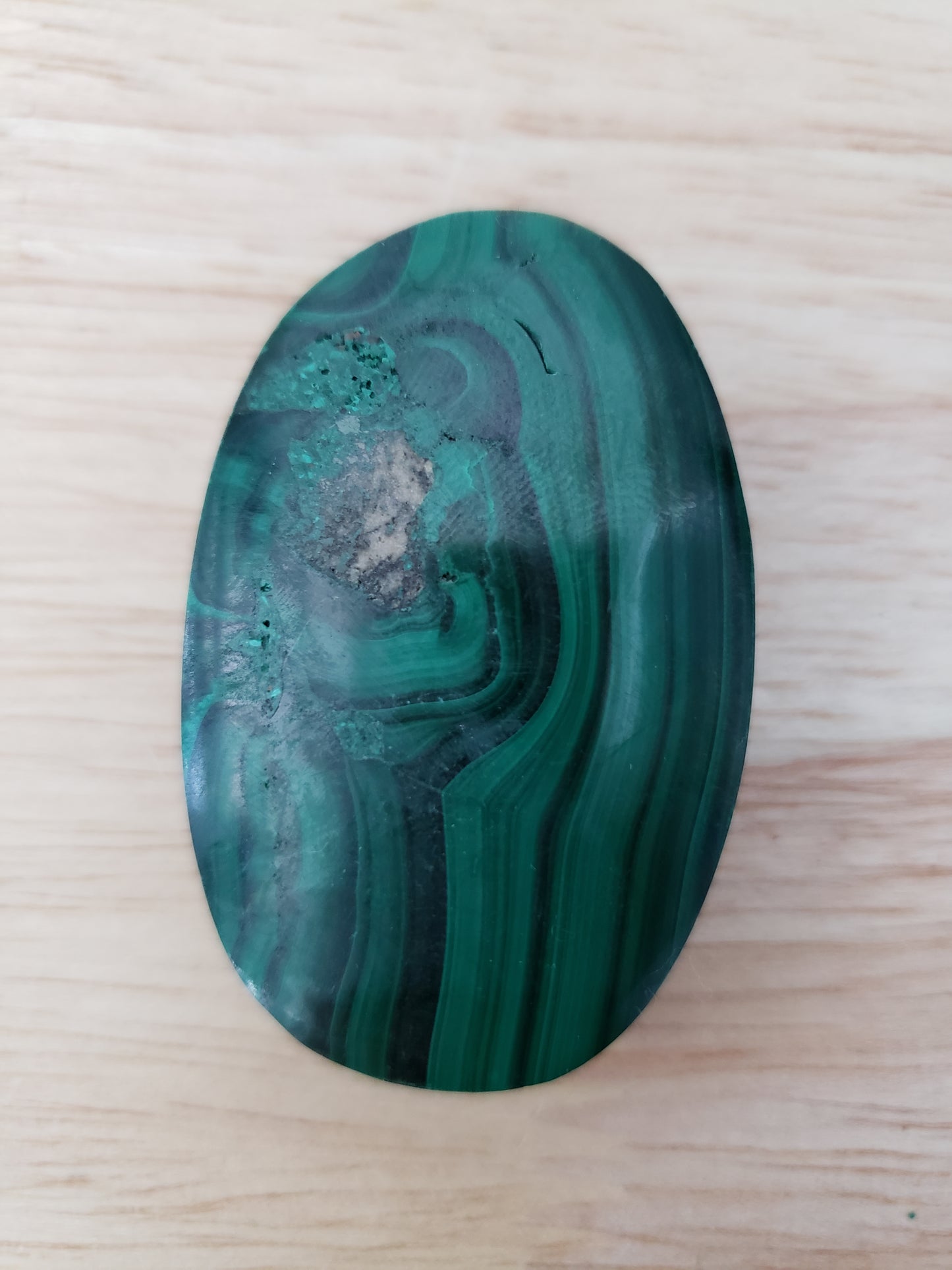 Malachite Palms